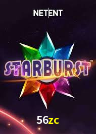 Bônus Generosos e Exclusivos no 56zc para Você!